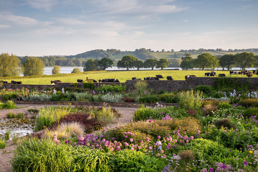 GARDEN AND FLOWER PHOTOGRAPHY WORKSHOP